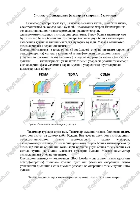 funktsional fazolar va ularning bazislari — DOCX