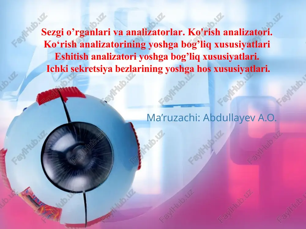 sezgio’rganlarivaanalizatorlar — PPTX