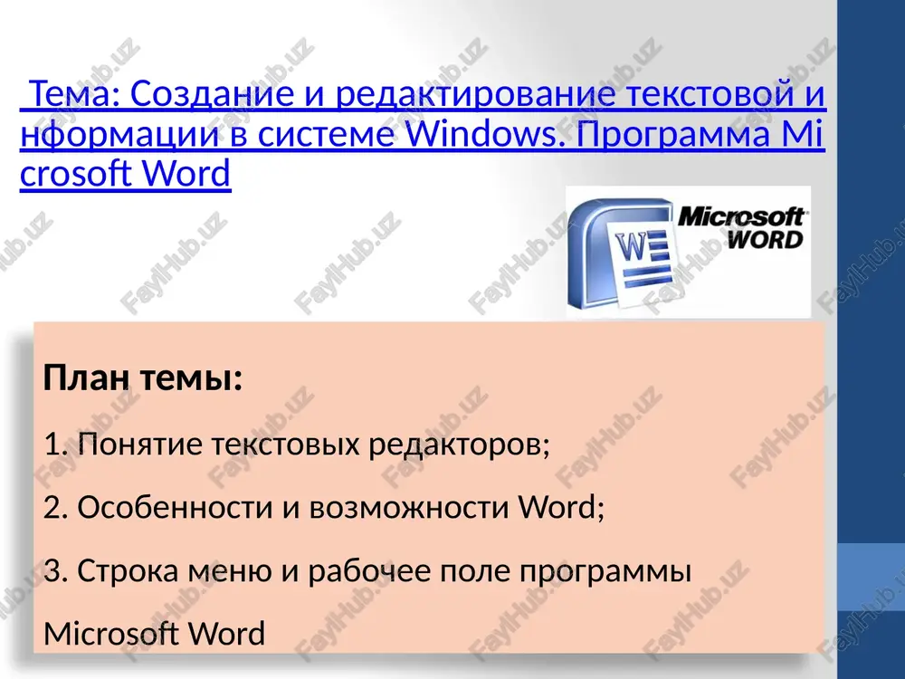 programma microsoft word — PPTX