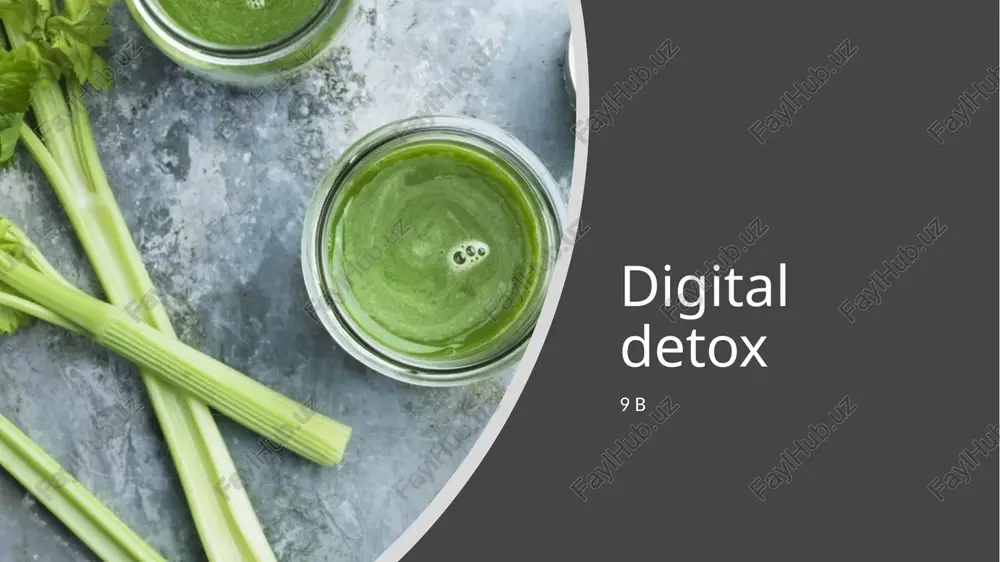 digital detox — PPTX