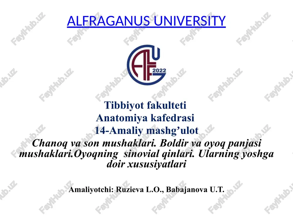 amaliy mashg'ulot — PPTX