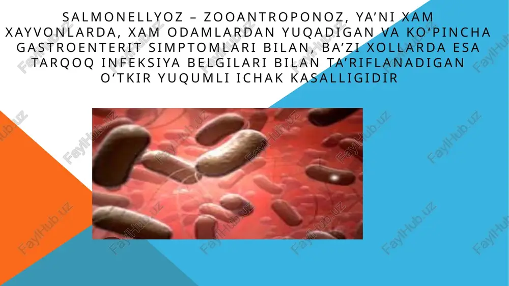 salmonellyoz — PPTX