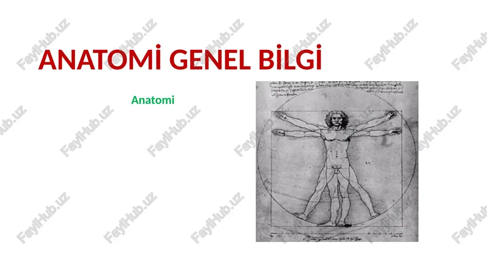 anatomi̇ genel bi̇lgi̇ — PPTX