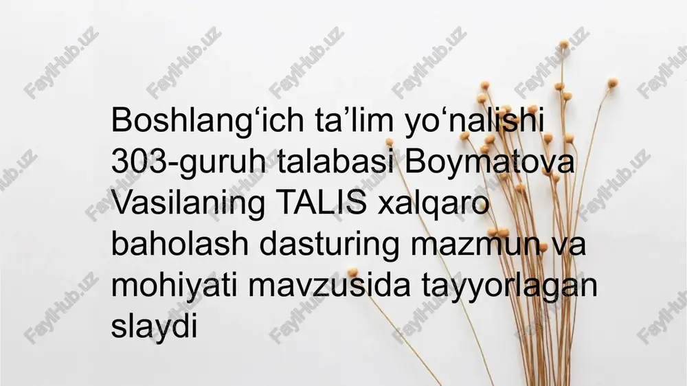 talis xalqaro baholash dasturi — PPTX