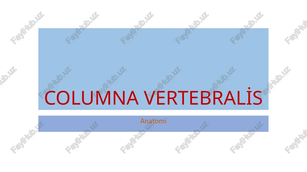 columna vertebralis — PPTX