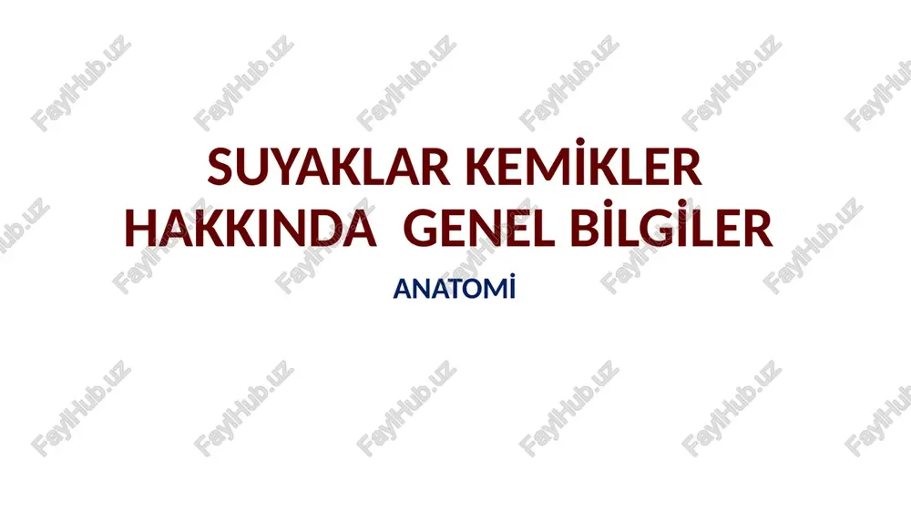 suyaklar kemi̇kler hakkinda genel bi̇lgi̇ler — PPTX