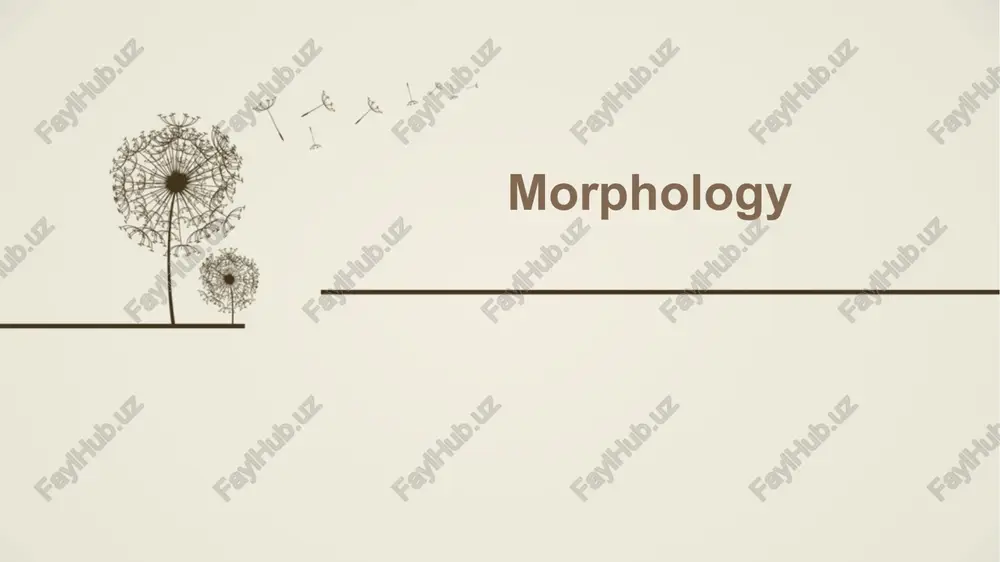 morphology — PPTX