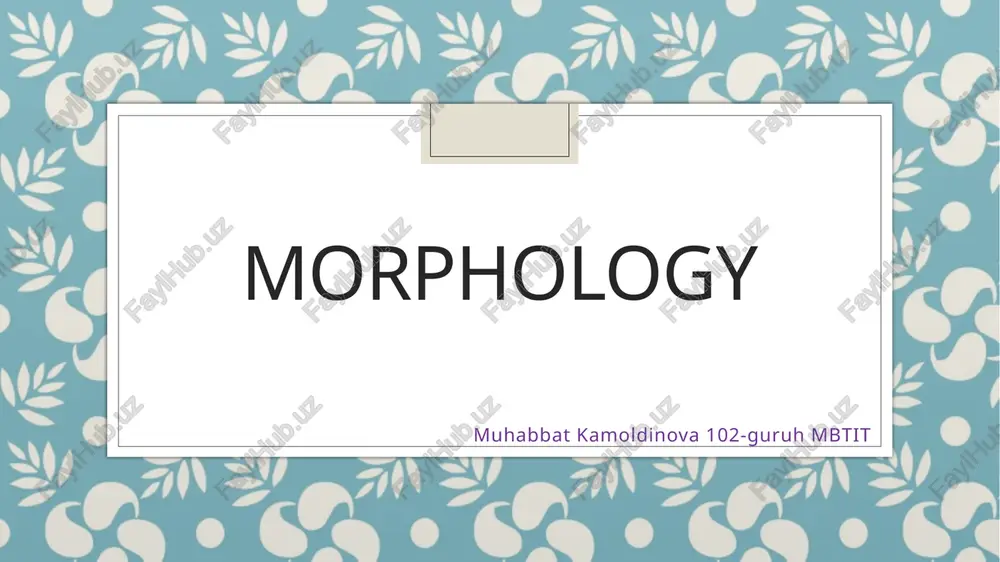 morphology — PPTX