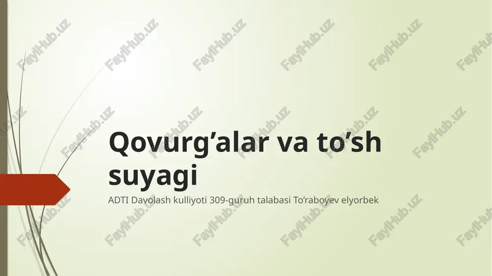 qovurg’alar — PPTX