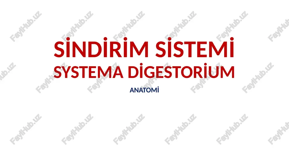 sindirim sistemi — PPTX