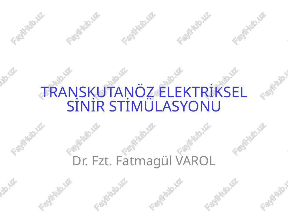 transkutanöz elektri̇ksel si̇ni̇r sti̇mülasyonu — PPTX