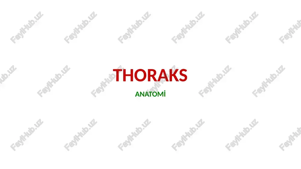 thoraks anatomi̇ — PPTX