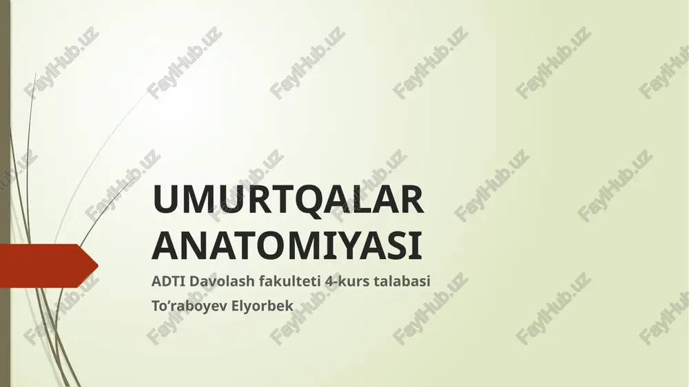 umurtqalar anatomiyasi — PPTX