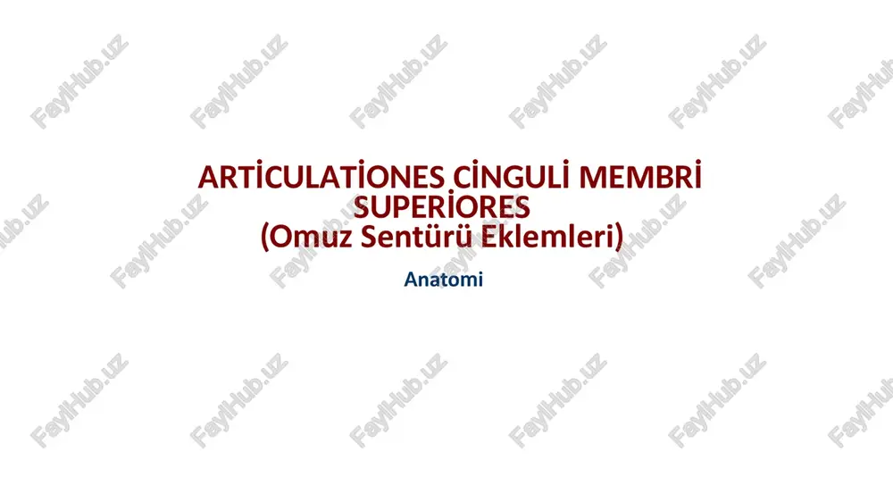 arti̇culati̇ones ci̇nguli̇ membri̇ superi̇ores(omuzsentürüeklemleri) — PPTX