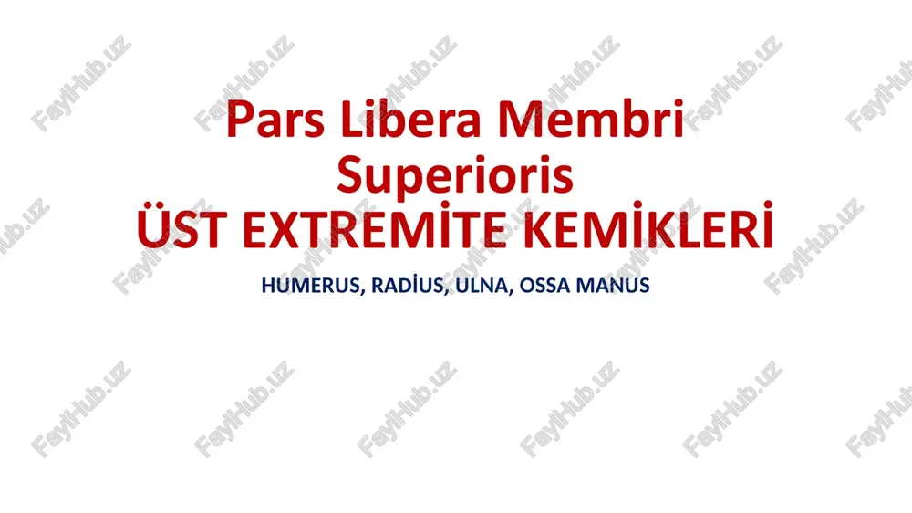 parsliberamembrisuperiorisüst extremi̇te kemi̇kleri̇ — PPTX