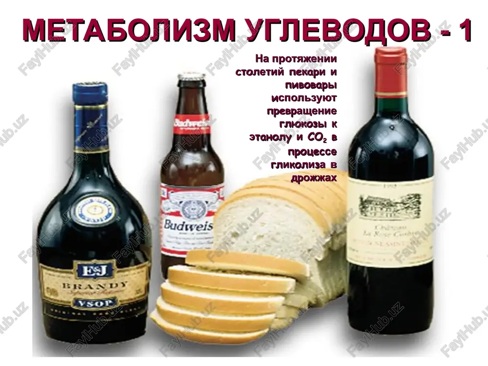 glikoliz - metabolicheskiy put — PPT