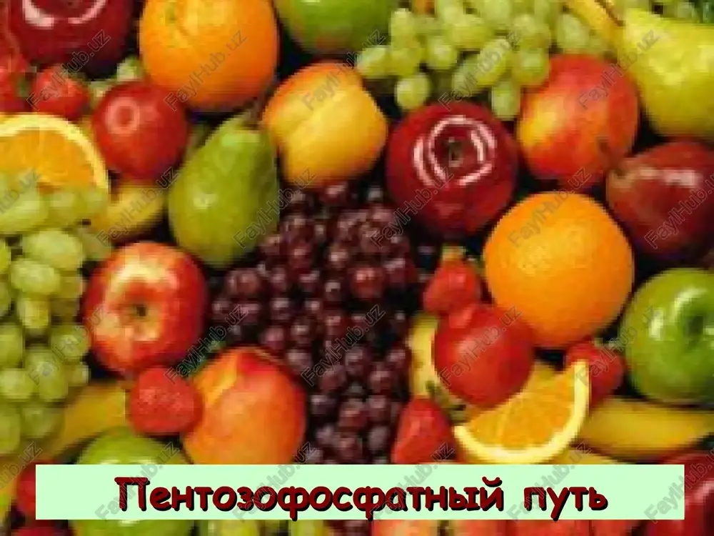 pentozofosfatniy put — PPT