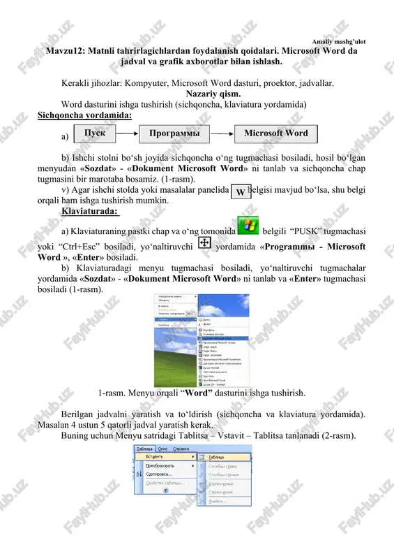 matnli tahrirlagichlardan foydalanish qoidalari — DOCX