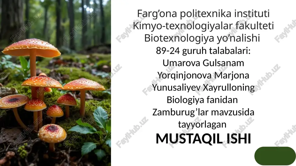 zamburug'larning turlari va xususiyatlari — PPTX