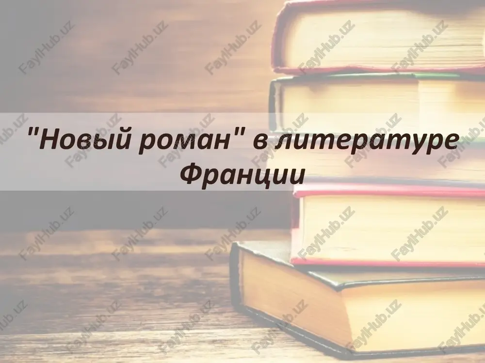 noviy roman v literature frantsii — PPTX