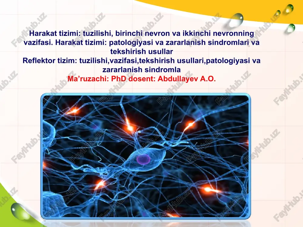 harakat va reflektor tizimlari — PPT