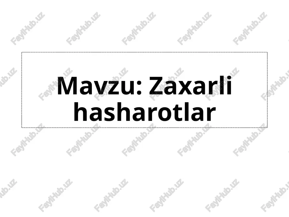hasharotlar — PPTX