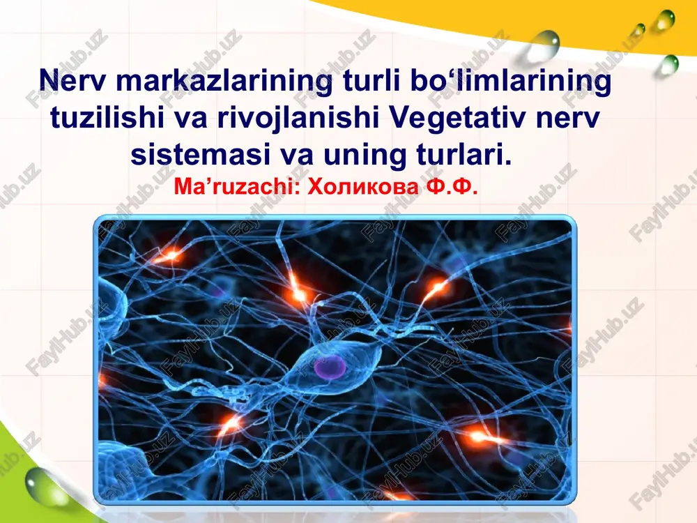 nerv to‘qmasining xossalari — PPT
