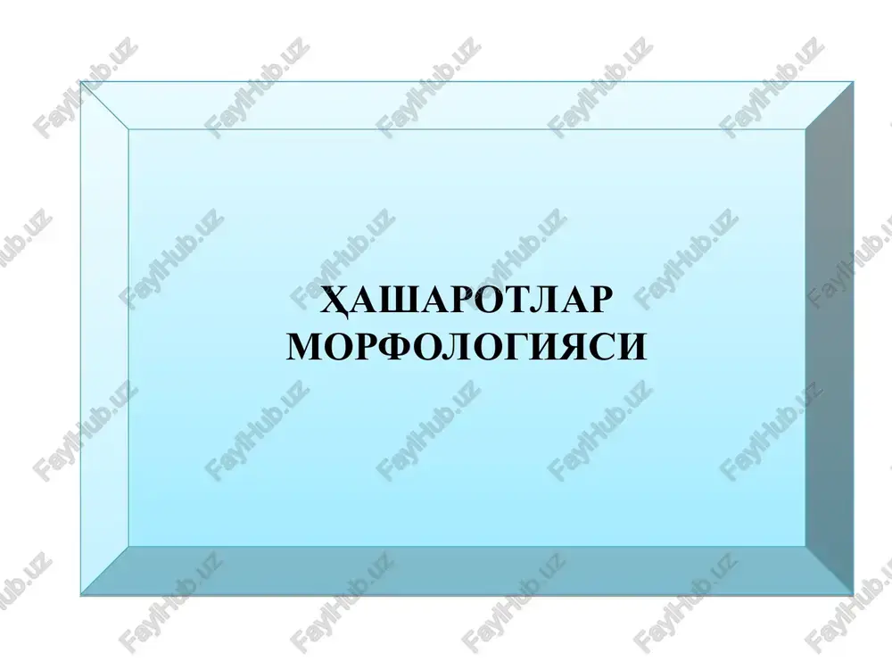 hasharotlar morfologiyasi — PPT