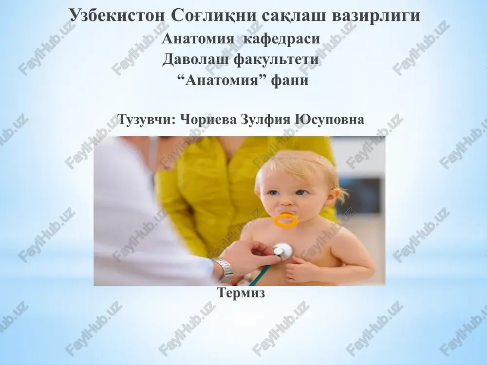ma'ruza-2.nafasa'zolarining funktsional va yoshli anatomiyasi — PPTX