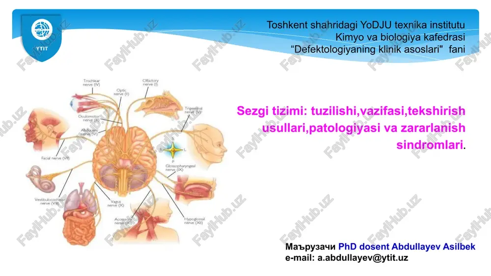sezgi tizimi — PPTX