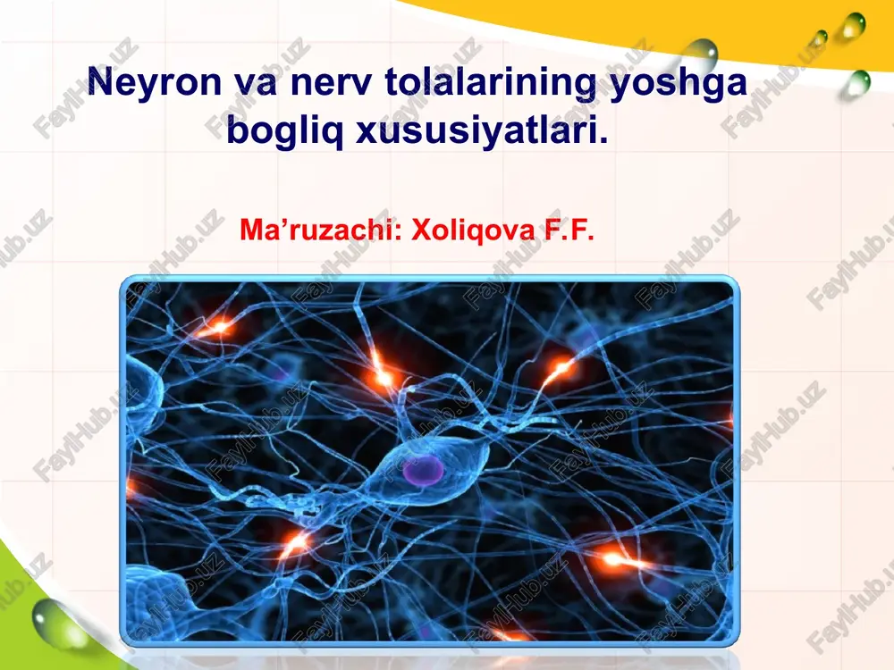 neyron va nerv tolalarining yoshga bogliq xususiyatlari — PPT