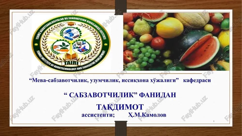 ildizmevali sabzavotlar — PPTX