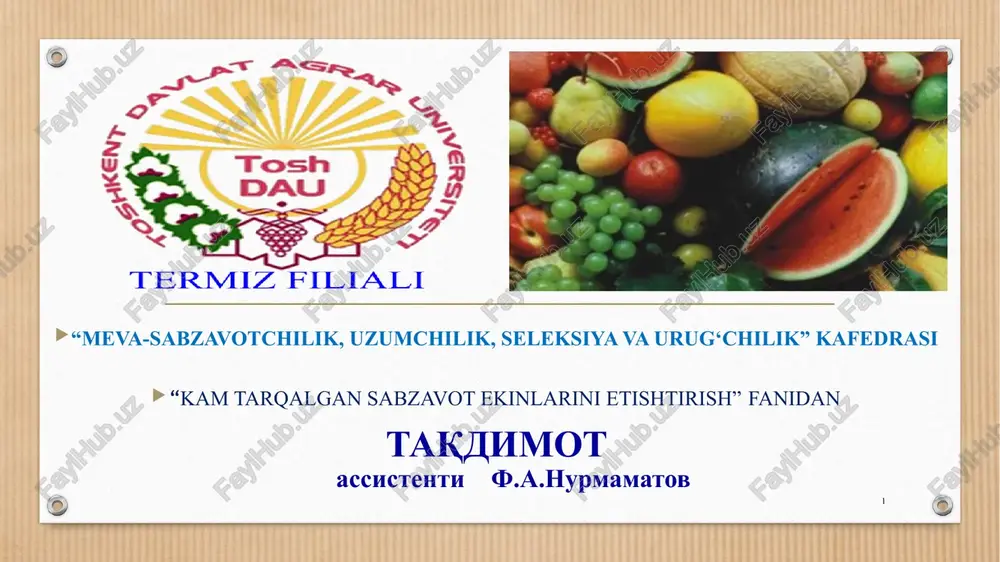 kam tarqalgan sabzavot ekinlari — PPTX