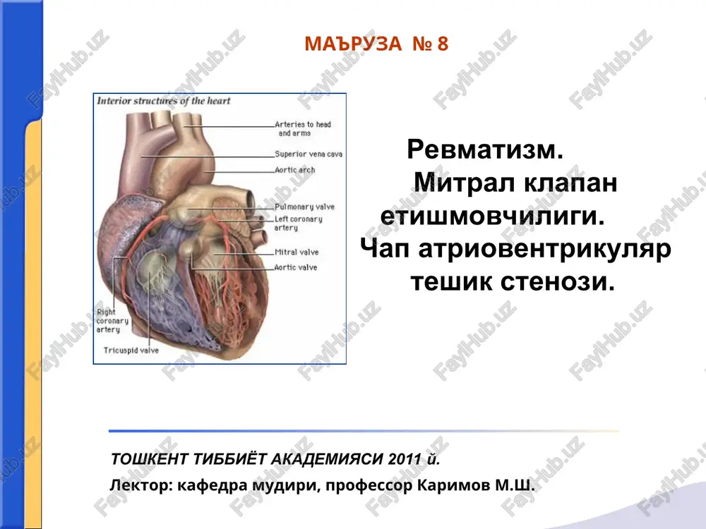 revmatizm.mitral klapan etishmovchiligi. chap atrioventrikulyar teshik stenozi. toshkent tibbiyot akademiyasi2011y. — PPT