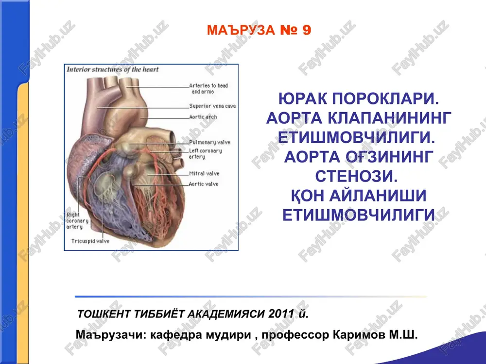 aortal poroklar — PPT