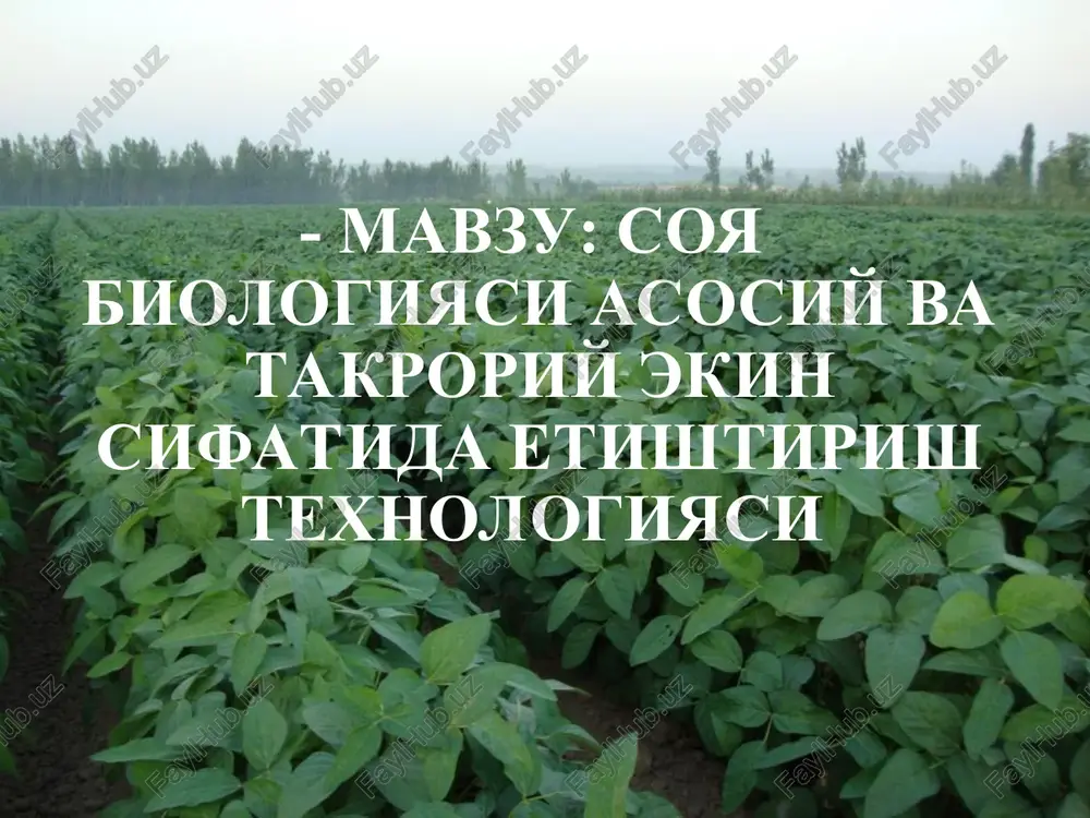 soya biologiyasi va navlari — PPT