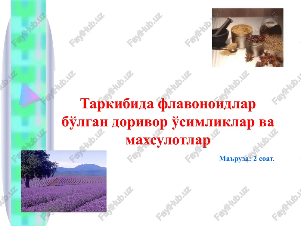 flavonoidlar saqlovchi dorivor o'simlik va maxsulotlar — PPT