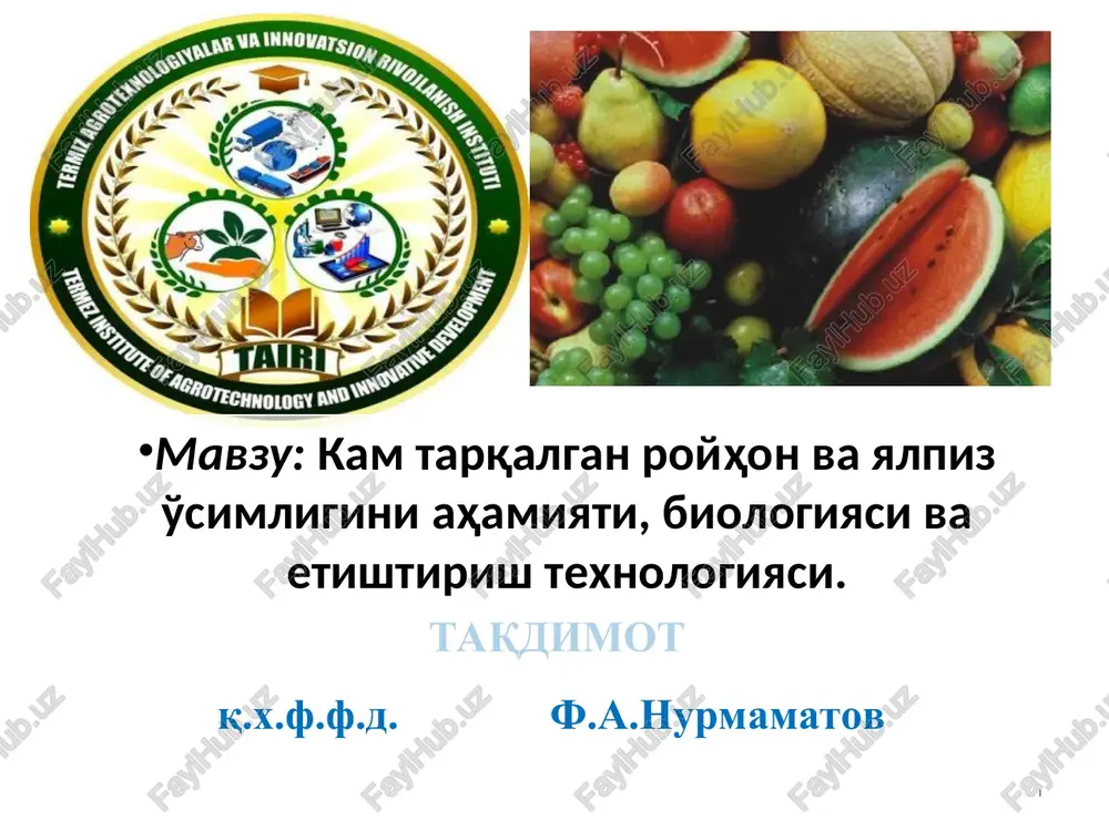 sabzavotchilik — PPT