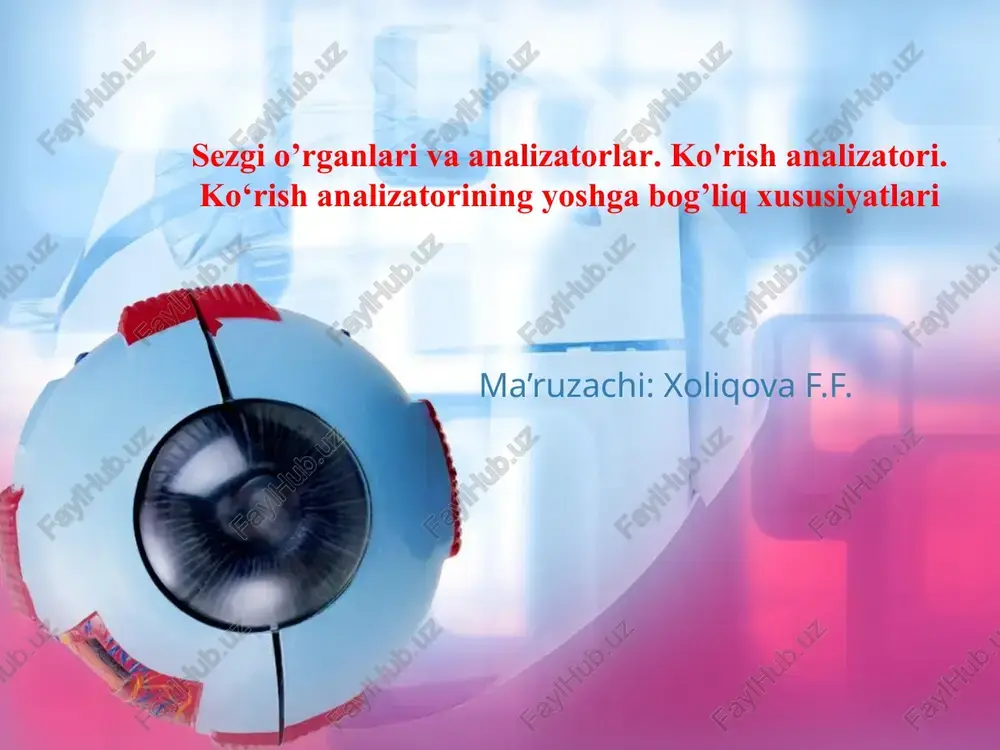 ko'rish analizatori — PPTX