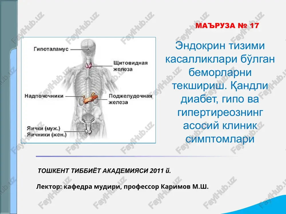 endokrin tizimi kasalliklari bo'lgan bemorlarni tekshirish — PPT