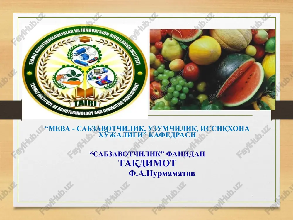 "sabzavotchilik" — PPT