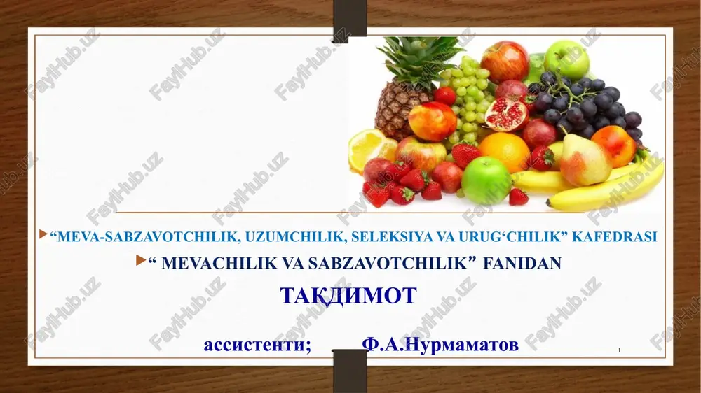 kirish. o‘zbekistonda mevachilikning qisqacha tarixi, hozirgi ahvoli — PPTX