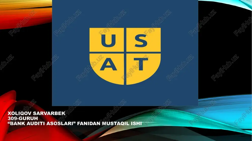bank auditi asoslari — PPTX