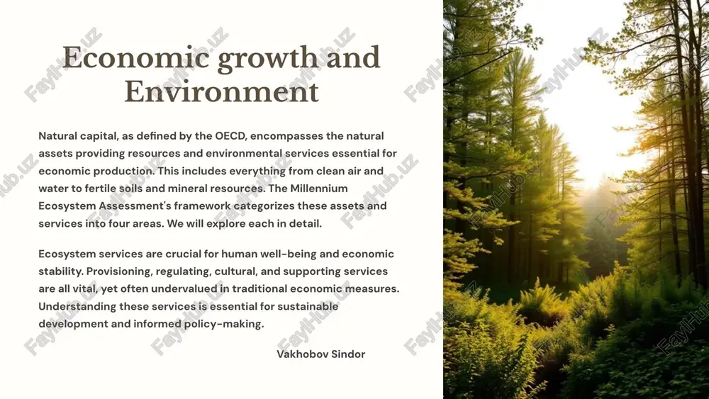 economic growth and environment — PPTX