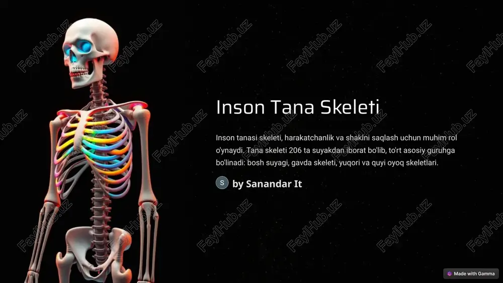 inson tana skeleti — PPTX
