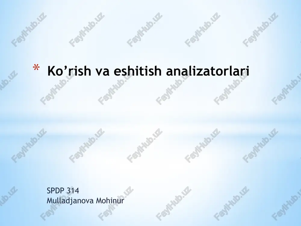 ko’rish analizatori — PPTX