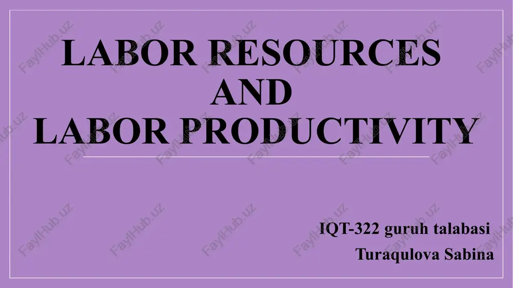 labor resources — PPTX
