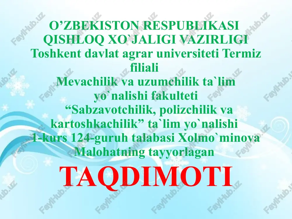 so`zlarning ma`noliq ismlari — PPTX