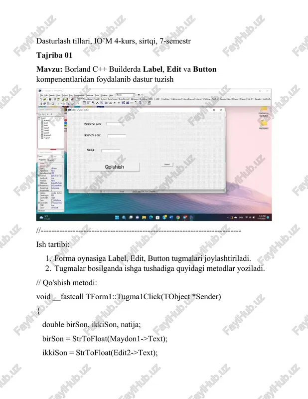 borland c++ builder — DOCX