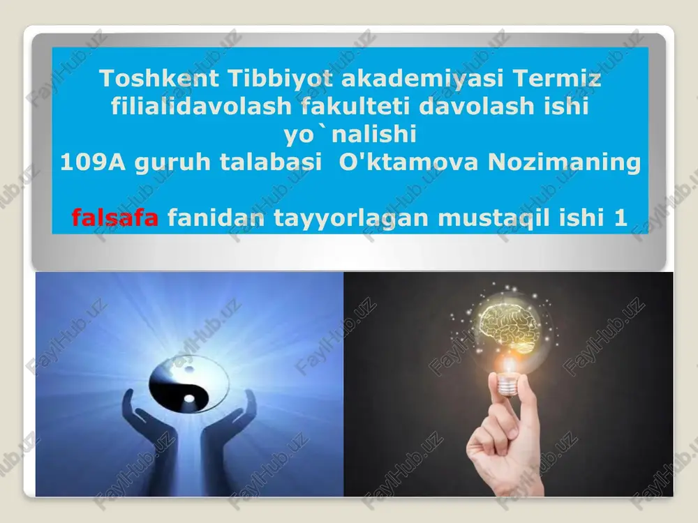 falsafiy dunyoqarash — PPTX